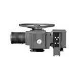 電動(dòng)啓閉機